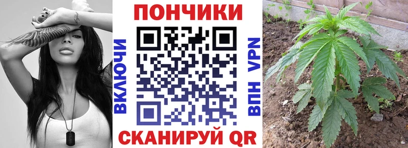 Купить  Кущёвская  Канабис THC 21% 